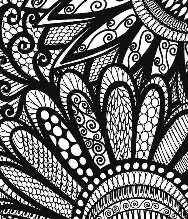 Colorful Flowers Volume 1 Illustrated by Virginia Falkinburg - Image 6