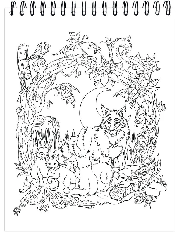 Colorful Seasons Illustrated by Hasby Mubarok, Terbit Basuki, Ivan Gatarić and Stevan Kasih - Image 2