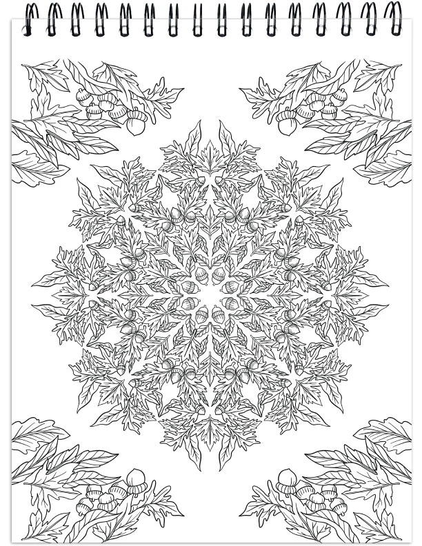 Colorful Seasons Illustrated by Hasby Mubarok, Terbit Basuki, Ivan Gatarić and Stevan Kasih - Image 5