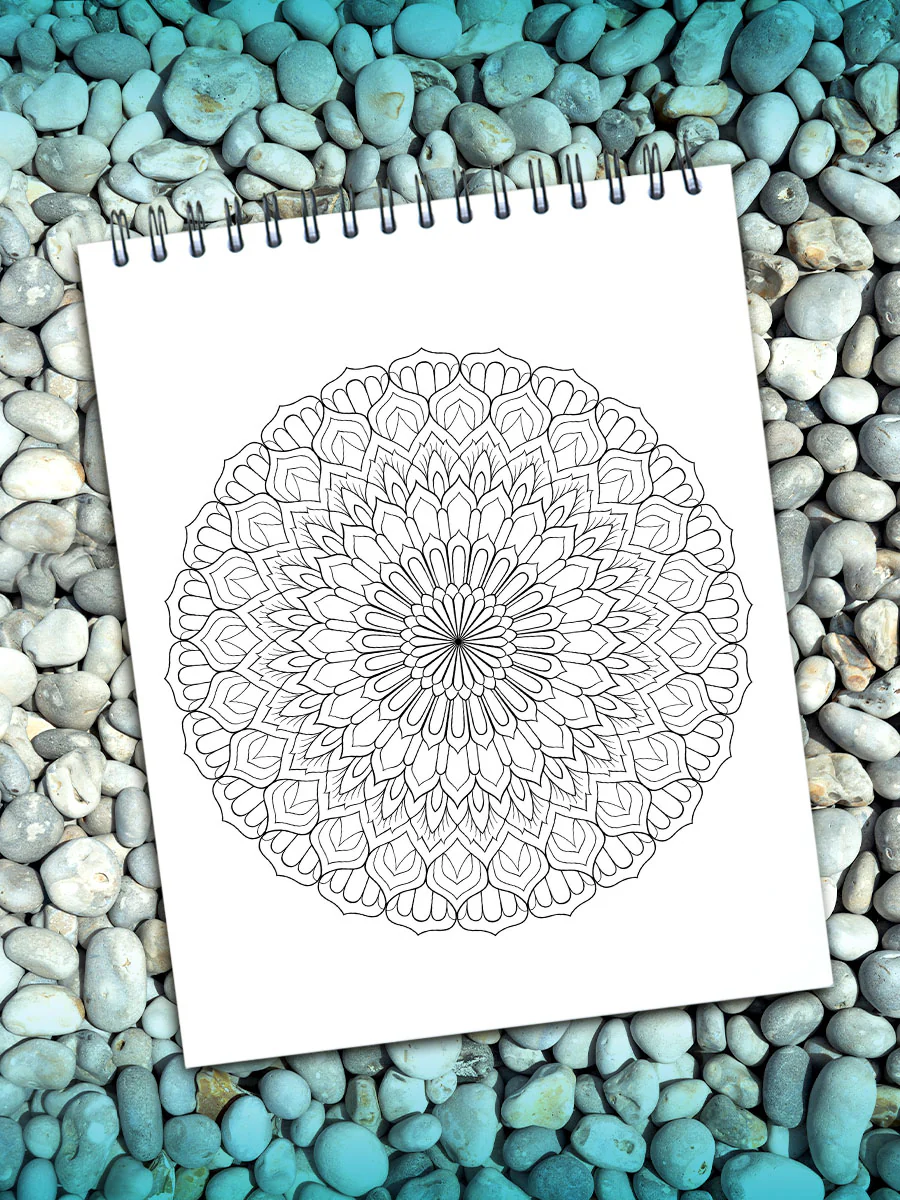 ColorIt Mandalas To Color, Volume V Coloring Book for Adults by Terbit Basuki - Image 2