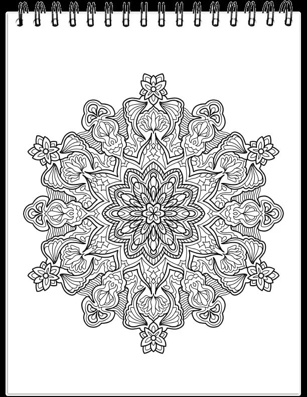ColorIt Mandalas To Color, Volume II Coloring Book for Adults by Terbit Basuki - Image 3