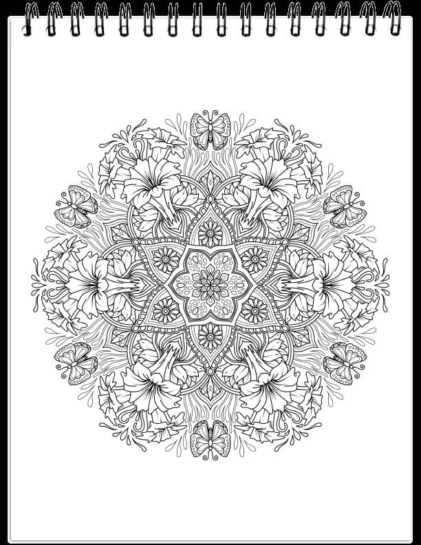 ColorIt Mandalas To Color, Volume II Coloring Book for Adults by Terbit Basuki - Image 5