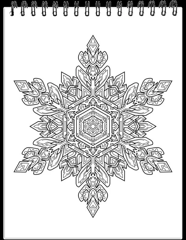 ColorIt Mandalas To Color, Volume II Coloring Book for Adults by Terbit Basuki - Image 6