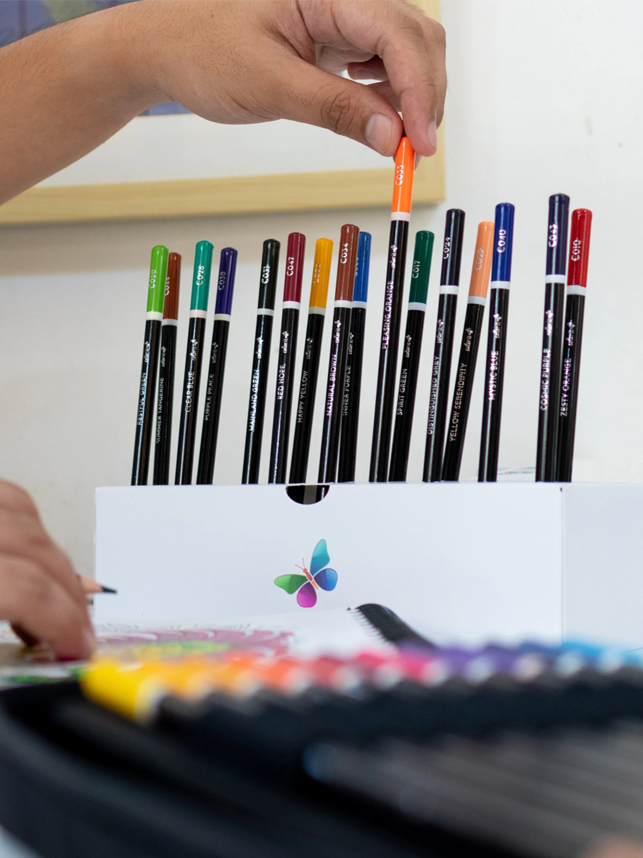 Premium 72 Colored Pencil Set - Includes Pencil Organizer, Travel Case, Pencil Sharpener, Mini Coloring Book, and Gift Box - Image 5